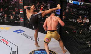 Video võ sĩ MMA bị hạ knock-out bởi đòn cực hiểm