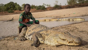 Nơi người và cá sấu có kết nối huyền bí: Dân thoải mái vuốt ve, cưỡi cá sấu khổng lồ