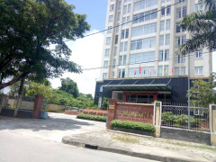 Thu nhập 727.000 USD/3 năm từ Google, một cá nhân ở Quảng Nam ‘lơ’ nộp thuế