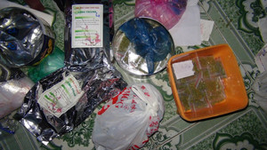 Bắt giam hai mẹ con bán cỏ Mỹ ở Quảng Nam