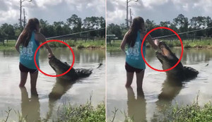 Clip: Rùng mình cô gái lội xuống đầm nước dẫn dụ cá sấu khổng lồ lên bờ