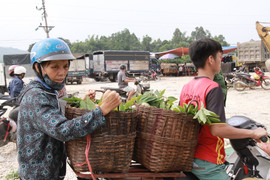 Ảnh: Cận cảnh chợ na lớn nhất miền Bắc ở Lạng Sơn tấp nập vào vụ