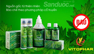 Tác dụng tinh dầu ngải: Vì sao nên mua tinh dầu ngải dự phòng trong nhà?