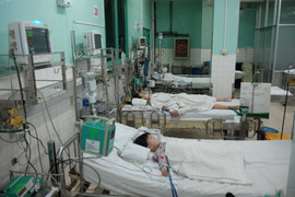 Đuổi theo bắt ếch, bé trai 7 tuổi ở Ninh Thuận bị rắn độc cắn nguy kịch