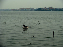 Kinh dị chuyện săn quan tài, đồ cổ và những hộp sọ lăn lóc dưới đáy Hồ Tây