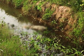 Thi thể người đàn ông phân hủy tại mương nước ở Đồng Nai