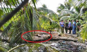 Thảm án ở Tiền Giang, 3 người trong 1 gia đình bị sát hại