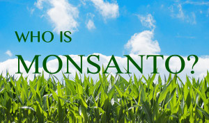Những điều cần biết về Monsanto - tội đồ của môi trường toàn cầu