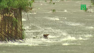 Bão số 4 gây mưa lớn, diễn biến phức tạp: Ẩn họa khôn lường từ hồ đập nhỏ