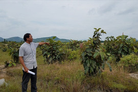 Bắt 3 cán bộ địa chính nhờ dân đứng tên để nhận tiền bồi thường ở Đắk Lắk