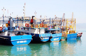 Câu cá ngừ gần đảo Trường Sa Lớn, 1 ngư dân bị cá cắn đứt bàn tay