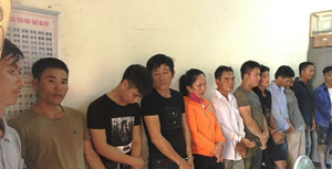 Bắt giữ 19 con bạc sát phạt bằng hình thức cá độ chọi trâu ở Nghệ An