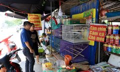 Video: Phố bày bán chim phóng sinh ở Hà Nội nhộn nhịp 'tháng cô hồn'