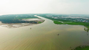 Quá trình hình thành hai dạng cửa sông lồi và lõm