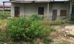 Ảnh: Đìu hiu dự án Làng đại học Đà Nẵng treo ròng rã 2 thập kỷ