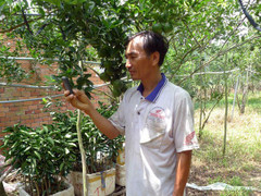 Người nông dân học hết lớp 9 và hệ thống phun thuốc, tưới cây tự động chỉ bằng một chiếc điện thoại