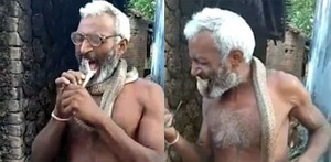 Rợn người clip người đàn ông ngoạm đầu rắn hổ mang, giỡn mặt tử thần