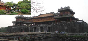 Ảnh: Cây thông trăm tuổi có dáng kỳ dị bậc nhất Hoàng Thành triều Nguyễn