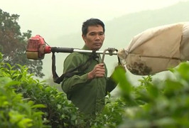 Sáng chế mang lại hiệu quả cho việc sản xuất chè