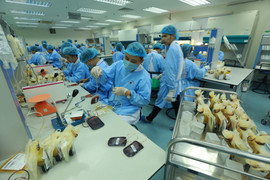 Ảnh: Bên trong 'phân xưởng' điều chế máu lớn nhất miền Bắc