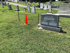 Thượng nghĩ sỹ John McCain yên nghỉ bên cạnh phần mộ bạn thân