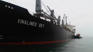 Vì sao IPO Vinalines ế tới 400 triệu cổ phiếu?