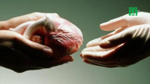 Gặp tai nạn chết não trên đường đi công tác, kỹ sư hiến tạng cứu 4 người