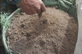 Chiếc máy biến rác thải thành phân bón