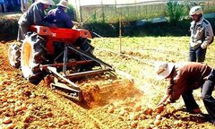 Máy đào khoai tây 'made in Da Lat'