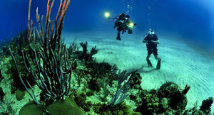 Bí ẩn những dấu chân kỳ lạ dưới biển sâu