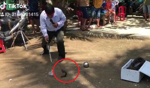 Clip: Màn biểu diễn ảo thuật câu cá trong chai nước cực ảo diệu