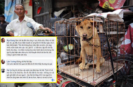 Hà Nội muốn dân từ bỏ thói quen ăn thịt chó, mèo: Nên ban hành luật cấm giết mổ, ăn thịt chó, mèo