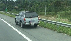 Clip: Ô tô 7 chỗ liều chết đi lùi trên cao tốc Hà Nội - Lào Cai
