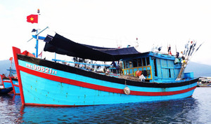 Giao lưu trực tuyến: Giải pháp tối ưu bảo quản hải sản đánh bắt xa bờ - Mô hình hầm lạnh cho tàu cá