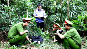 Phát hiện xác chết lõa thể trong thùng chứa nước ở Sóc Trăng