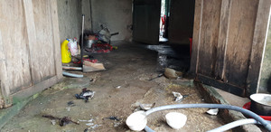 Níu kéo tình cảm bất thành, người đàn ông tạt xăng đốt người tình