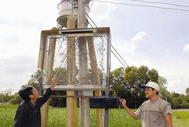 Hai chú cháu chế máy diệt rầy