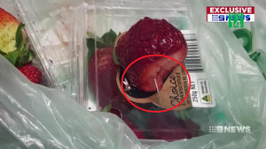 Bê bối dâu tây bị găm kim nhọn bên trong chấn động Australia
