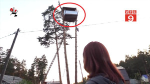 Xây nhà trên ngọn cây nhà hàng xóm để trả thù