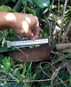 Cầm dao đi tính sổ bạn, con nghiện đâm nhầm người