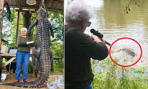 Clip: Cụ bà bắn chết cá sấu khổng lồ