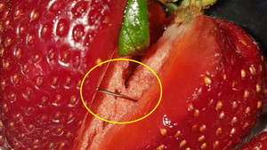 Bê bối găm kim khâu vào dâu tây: Động cơ không ngờ của nghi phạm