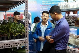 Nhìn lại kết quả các hoạt động kết nối cung – cầu công nghệ 2017