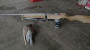 Đi bắn chim, bắn trúng người đi đường