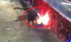 Clip: Bị đốt sừng, bò tót nổi điên húc cụ ông chết thảm