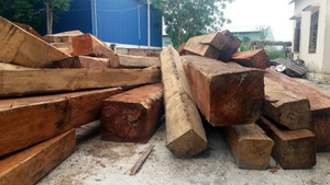 Gia Lai xử lý trách nhiệm tập thể, cá nhân để xảy ra phá rừng