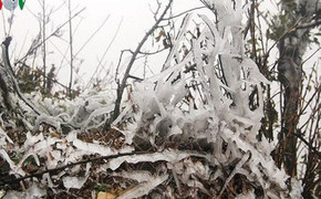 Mùa đông 2018 sẽ đến sớm cùng rét đậm, rét hại