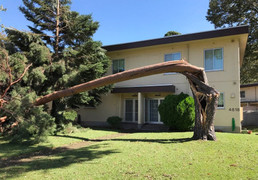 Căn cứ không quân Mỹ tại Nhật Bản tan hoang sau khi siêu bão Trami đổ bộ