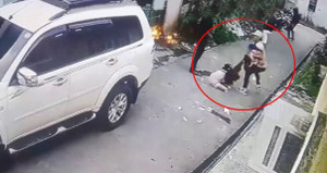 Clip: Bé gái 8 tuổi bạo gan đối đầu 4 tên cướp có súng