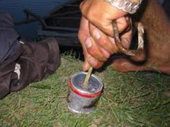 Ôm mìn đến khu tập thể giáo viên truy sát vợ cũ